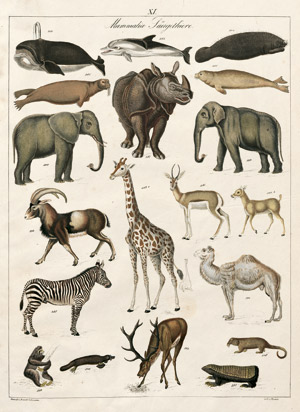 Lot 788, Auction  101, Roßmäßler, Emil Adolph, Galerie der Thierwelt, ein Atlas. Dresden und Leipzig, Arnold