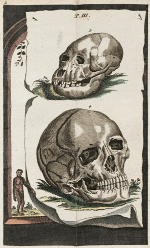 Lot 885, Auction  101, Wilhelm, Gottlieb Tobias, Unterhaltungen über den Menschen