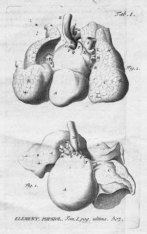 Lot 419, Auction  102, Haller, Albert von, Elementa physiologiae corporis humani