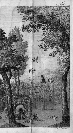 Lot 562, Auction  102, Heppe, J. C., Der Vogelfang nach seinen verschiedenen Arten 