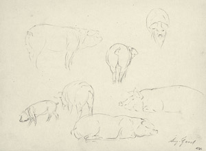 Lot 7131, Auction  102, Gaul, August, Schweine