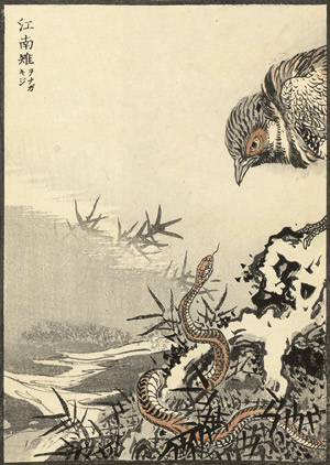 Lot 467a, Auction  103, Kono, Bairei, Kacho gafu. Album mit Vögeln und Blumen. 1883