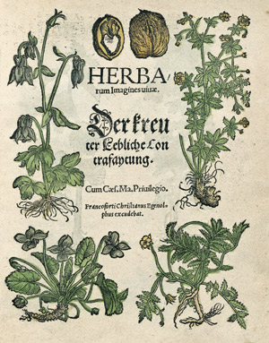 Lot 1055, Auction  103, Egenolff, Christian, Herbarum Imagines vivae. Der kreuter Lebliche Contrafaytung. Frankfurt 1535