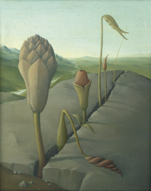 Lot 7197, Auction  103, Hübel, Peter, Felsspaltenleben