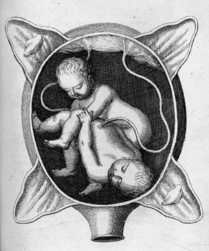 Lot 445, Auction  104, Siegemund, Justine, Die Chur-Brandenb. Hof-Wehe-Mutter