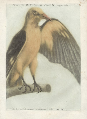 Lot 1148, Auction  104, Gautier d'Agoty, Jacques Fabien, 26 Farbradierungen verschiedenster Genres