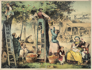 Lot 2278, Auction  104, Schreiber, Jakob Ferdinand, Bilder-Werke für den Anschauungs-Unterricht in Schule und Haus. Bd. 3