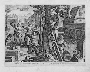 Lot 5650, Auction  104, Galle, Philips, Die Bienenzucht