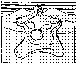 Lot 3389, Auction  105, Iona und Marcks, Gerhard - Illustr.,  In der Übertragung von Martin Luther. 