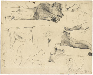 Lot 6713, Auction  106, Kuhnert, Wilhelm, Studienblatt mit ruhenden Löwen und zwei Katzen
