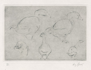 Lot 7150, Auction  106, Gaul, August, Gänsestudien