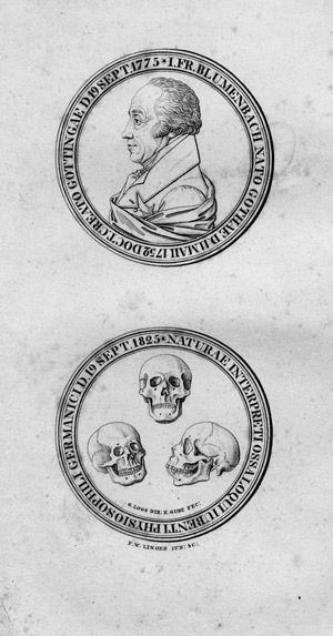 Lot 314, Auction  107, Rudolphi, Karl Asmund, Viro Illustri Germaniae Decori 