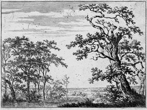 Lot 5273, Auction  107, Verboom, Adriaen Hendricksz., Landschaft mit einem Bachlauf
