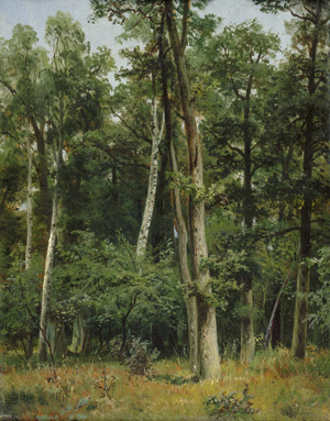 Lot 6151, Auction  107, Deutsch, 1884. Waldpartie bei Dessau