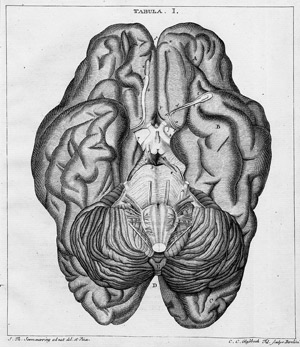 Lot 372, Auction  108, Soemmering, Samuel Thomas, De basi encephali