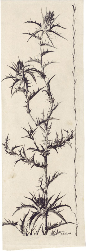 Lot 6799, Auction  108, Mediz, Karl, Blühende Distel
