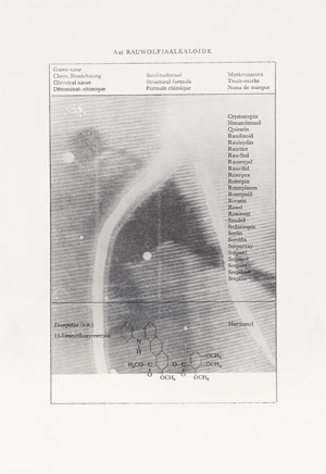 Lot 7476, Auction  108, Polke, Sigmar, Fernsehbild Eishockey (Rauwolfiaalkaloide) I