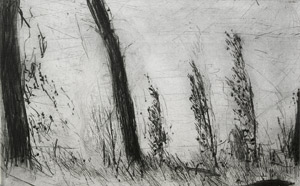 Lot 3204, Auction  109, Heine, Heinrich und Berg, Claudia - Illustr., Ahnung