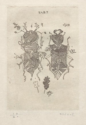 Lot 3223, Auction  109, Epperlein, Klaus und Hussel, Horst - Illustr., Die merkwürdigsten Käfer der Mark Brandenburg