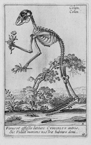 Lot 5110, Auction  109, Hondius, Hendrick, Hasenskelett mit Blumen