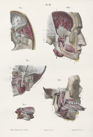 Lot 314, Auction  110, Hirschfeld, Ludovic, Névrologie et esthésiologie