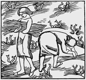 Lot 3334, Auction  110, Vergilius, P. M. und Maillol, Aristide - Illustr., Georgica - Les Géorgiques