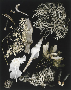 Lot 4124, Auction  110, Brodmann, Uwe, La Villa Stern