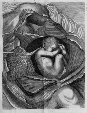 Lot 337, Auction  111, Siegemund, Justine, Hof-Wehe-Mutter