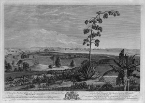 Lot 5448, Auction  111, Elliott, William, A View of the Harbour & City of the Havana [...] / Vista del Puerto y Ciudad de la Havana [...] 