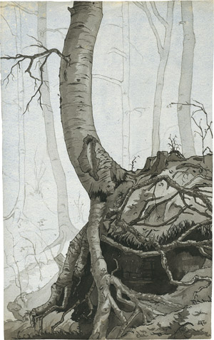 Lot 8297, Auction  112, Reichardt, Kurt, Studie einer Baumwurzel