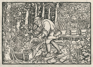 Lot 851, Auction  113, Lonicer, Adam, Naturalis Historiae opus novum. In quo tractatur de natura et viribus arborum