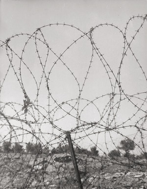Lot 4222, Auction  113, Landauer, Lou, Barbed wire, Jerusalem