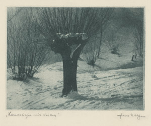 Lot 4269, Auction  113, Natge, Hans, Landstraße mit Weiden