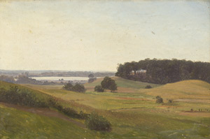 Lot 6131, Auction  113, Brendstrup,Thorald, Dänische Hügellandschaft am Wasser