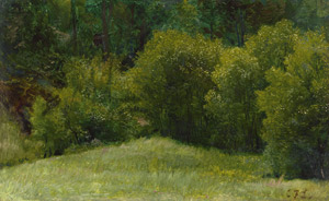 Lot 6149, Auction  113, Lessing, Carl Friedrich, Sonnenbeschienene Waldlichtung