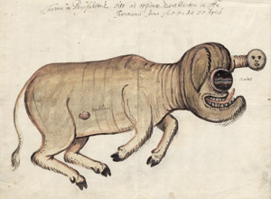 Lot 6318, Auction  113, Niederländisch, 1655. Slowakischer Zyklop mit Menschenkopf