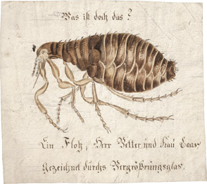 Lot 6339, Auction  113, Deutsch, 19. Jh. Was ist doch das?