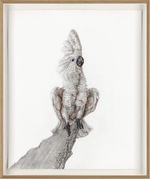 Lot 6354, Auction  113, Schüffler, Svenja, Schrödinger´s Bird /8