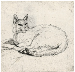 Lot 6384, Auction  113, Mind, Gottfried, Ruhende Katze