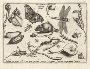 Lot 6404, Auction  113, Hoefnagel, Jacob, Sieben Studienblätter