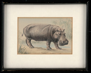 Lot 6950, Auction  113, Morin, Louis, Nilpferd