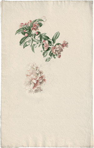 Lot 6341, Auction  114, Blaschek, Franz, Blühender Apfelzweig