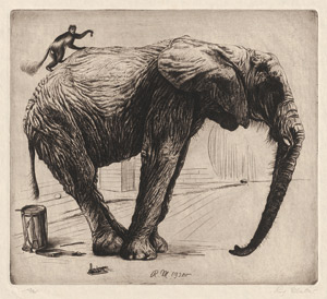 Lot 7385, Auction  114, Müller, Richard, Das größte und das kleinste Säugetier