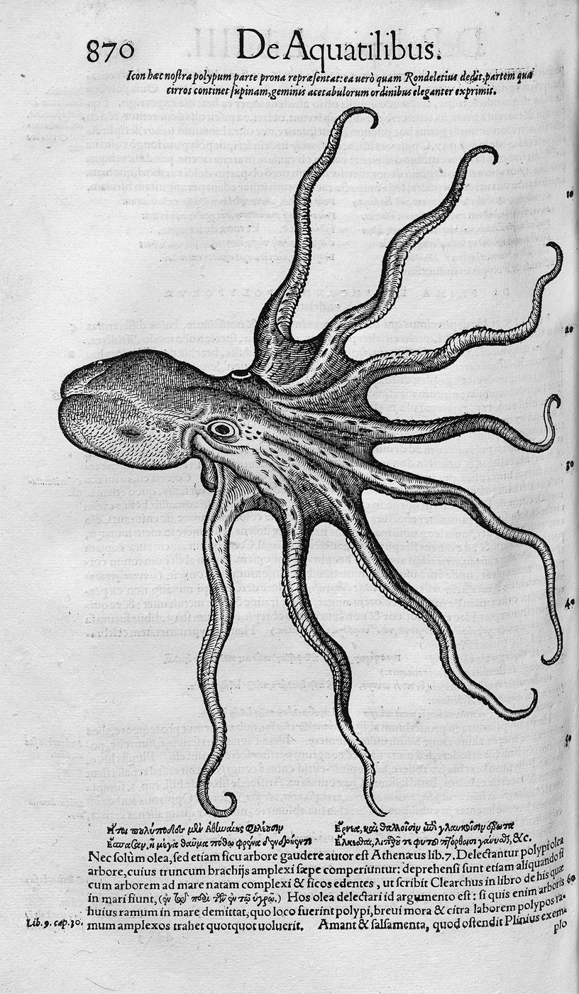 Lot 1116, Auction  115, Gesner, Conrad, Historiae animalium libri IIII