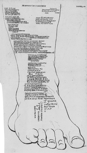 Lot 71, Auction  116, Pococke, Richard, Beschreibung des Morgenlandes und einiger andern Länder