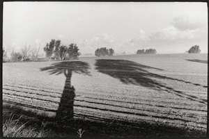 Lot 4143, Auction  116, Heyden, Bernd, Landscape with tree shadows