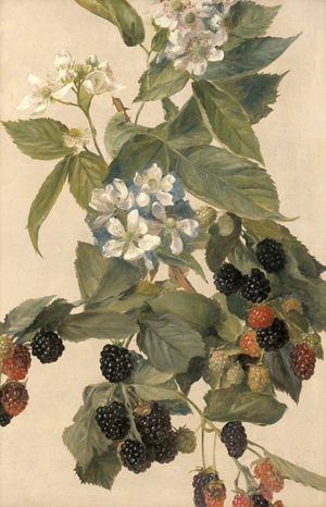 Lot 6118, Auction  116, Deutsch, um 1860. Brombeerranken