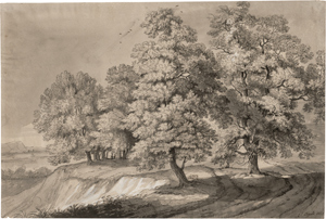 Lot 6829, Auction  116, Cogels, Joseph Carl, Baumbestandene Landschaft mit rastendem Wanderer