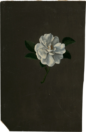 Lot 7276, Auction  116, Libert, Betzy Marie Petrea, Studie einer weißen Kamelie