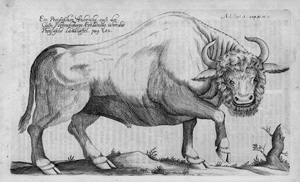 Lot 261, Auction  118, Hartknoch, Christoph, Alt und neues Preussen 